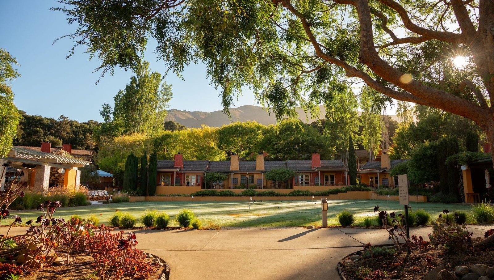 Portfolio photograph