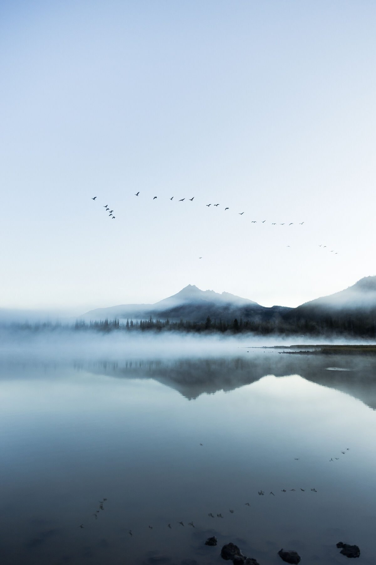 Portfolio photograph